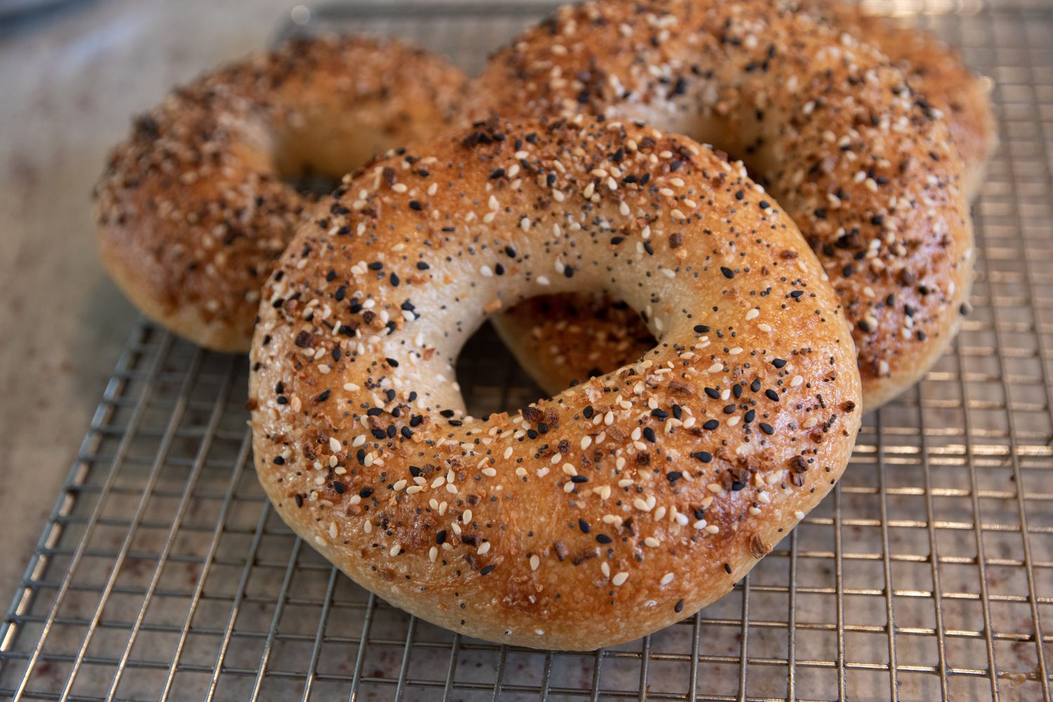 Todo Bagel Todo Bagel