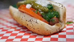 The Chicago Hot Dog