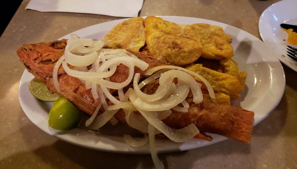 Coqui Restaurant Food