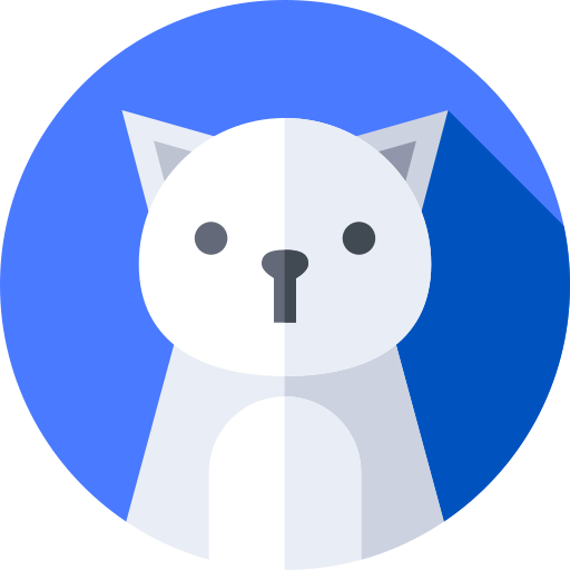 main wp install