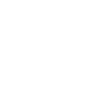 Brooklyn Chckn 'N' Lbstr