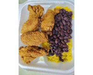 10 pcs Wings