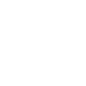 All About Gogi