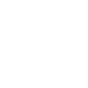 Brooklyn Chckn 'N' Lbstr