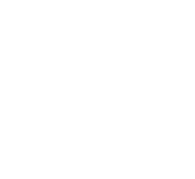 Lotus Garden