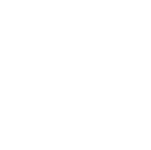 NYC Halal Chicken And Burgers