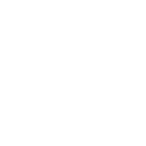 All About Gogi