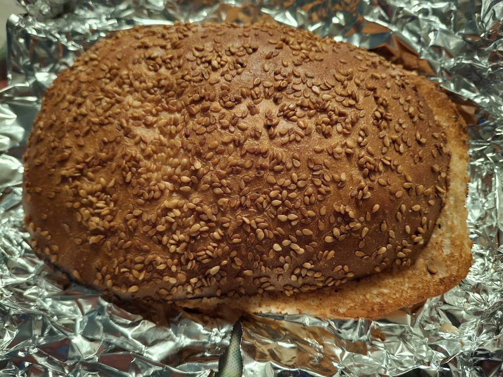 unnamed (5)