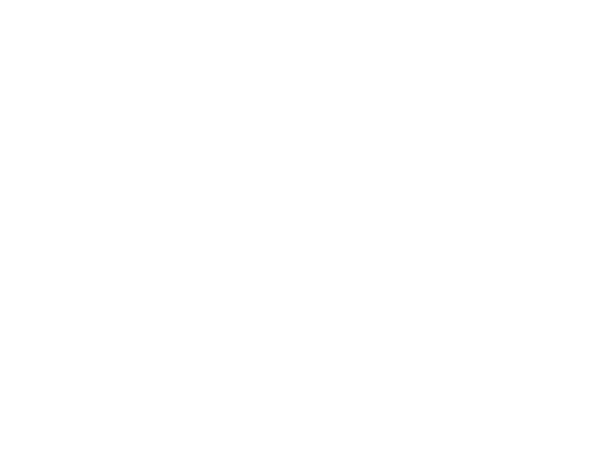 Bagelsmith