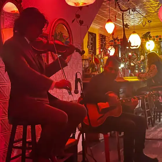 Best Turkish restaurant in Ridgewood, NY | Abracadabra Magic Diner | Turkish restaurant near me