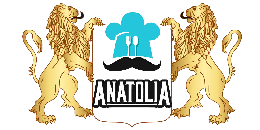logo1 Anatolia