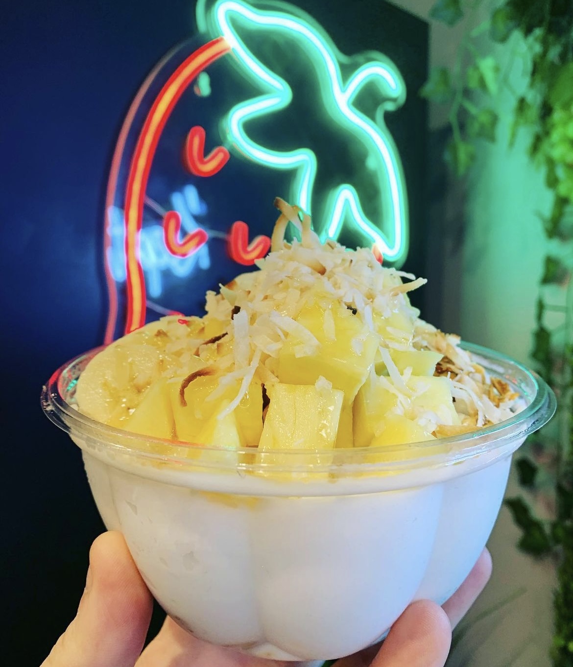Coconut bowl