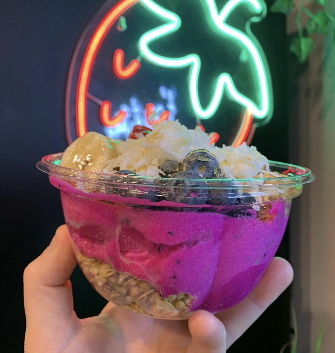 Pitaya Bowl