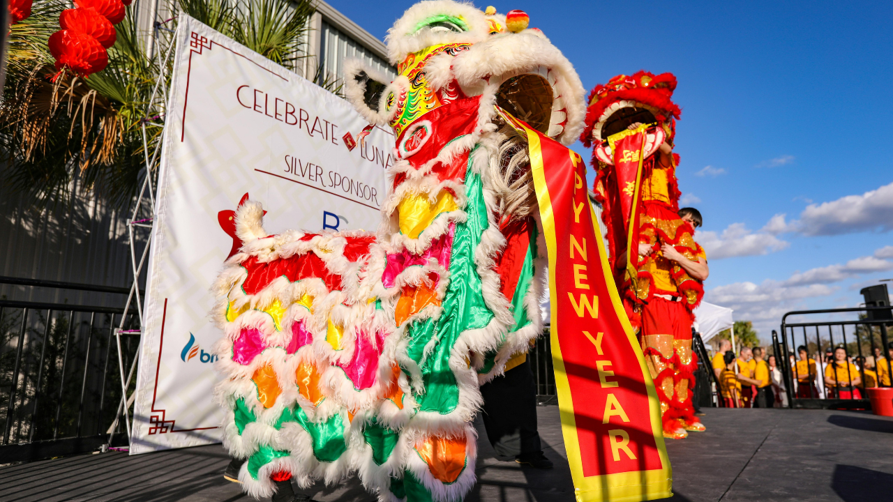 Chinese New Year 2025