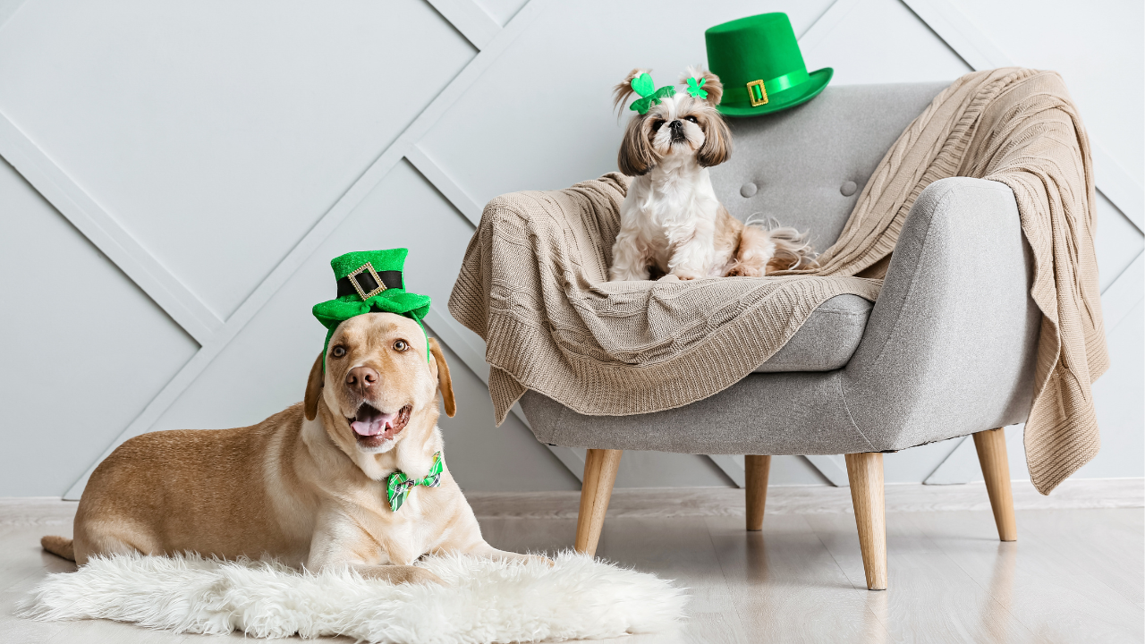 St Patrick's Day Restaurant Promotions