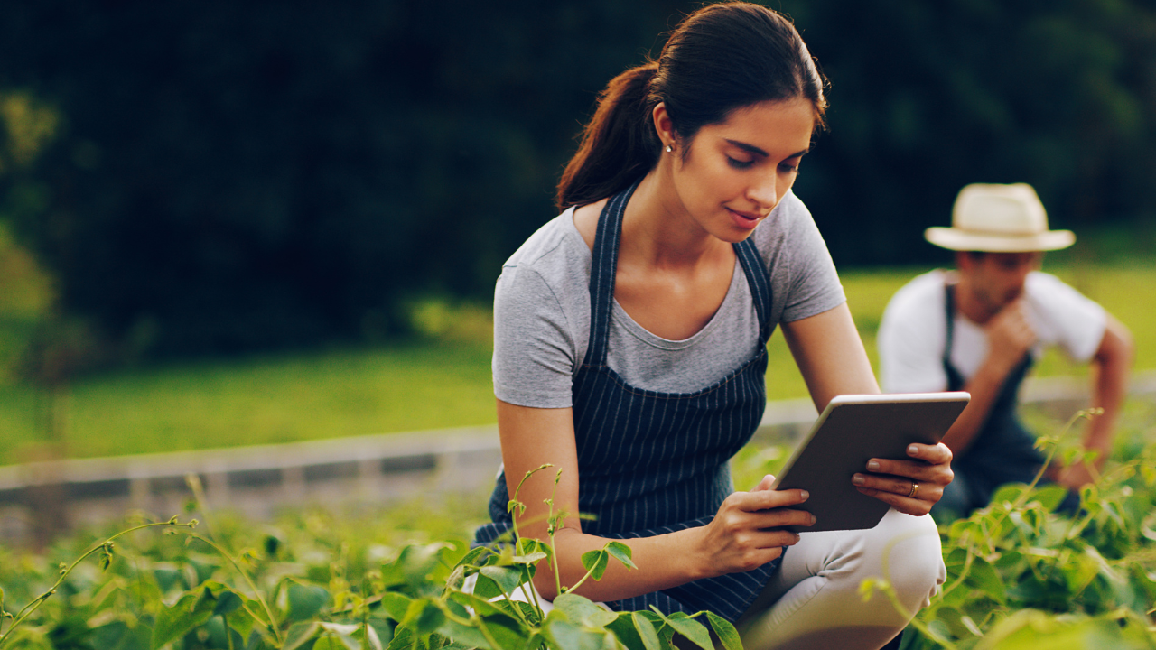 restaurant Trends for a Healthy Planet