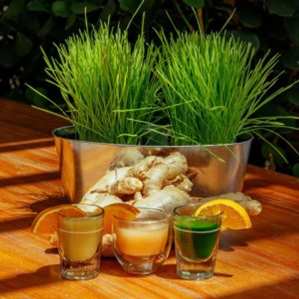 Healthy Shots