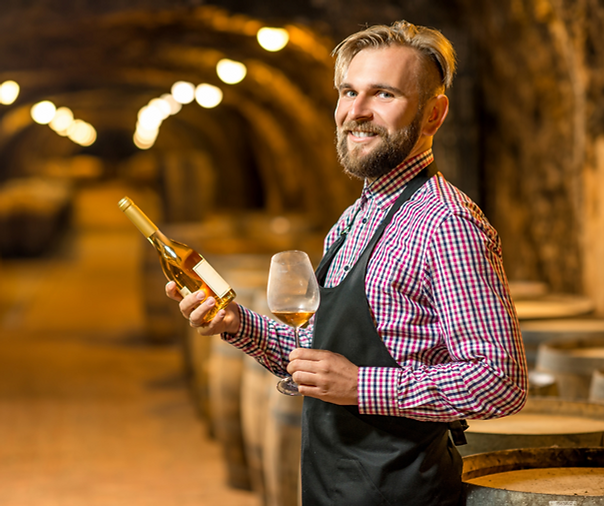 Sommelier in Wine Cellar
