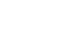 Temaki Sushi