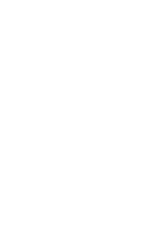 logo Bravo